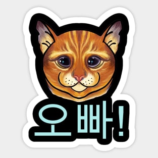 Cute oppa cat Sticker